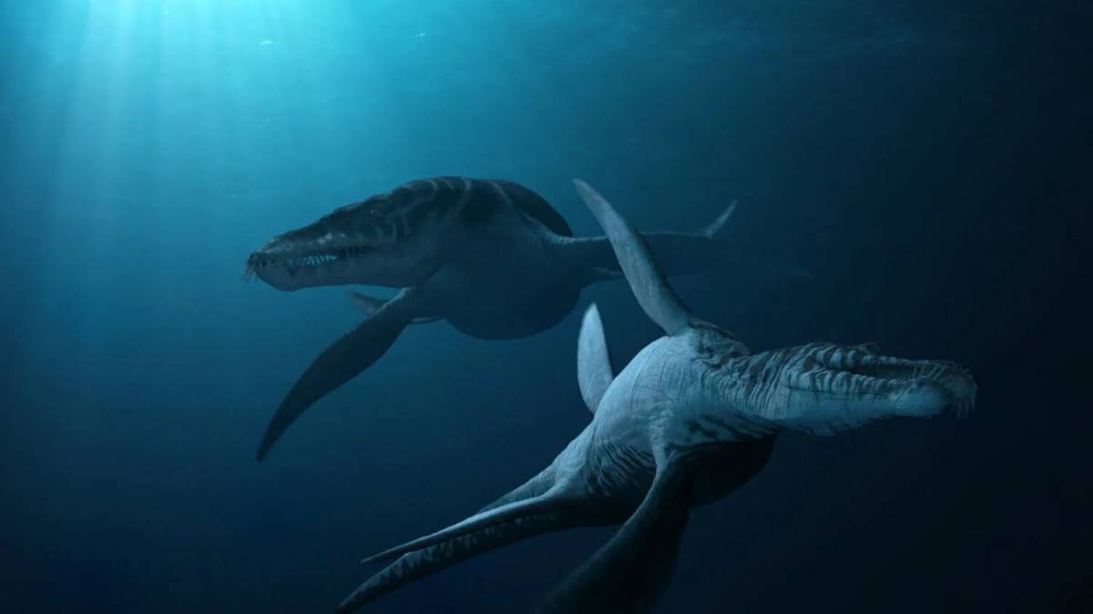 Морские динозавры #12