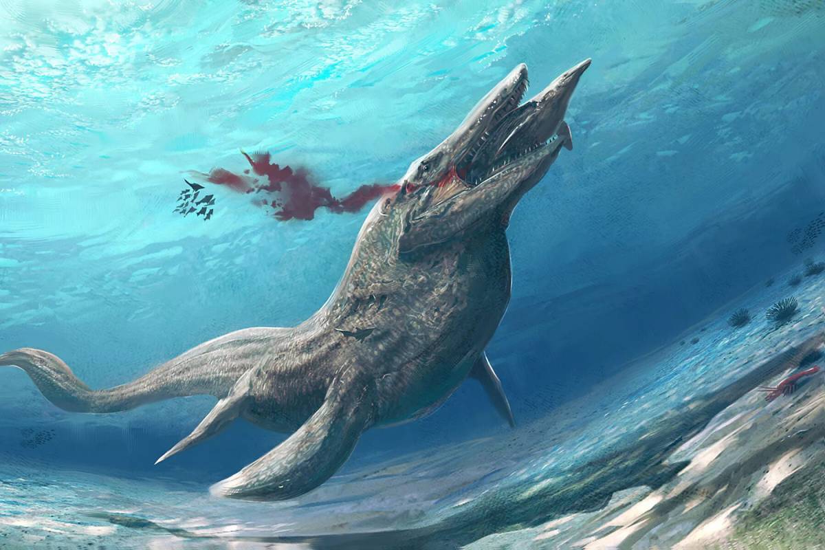 Морские динозавры #15