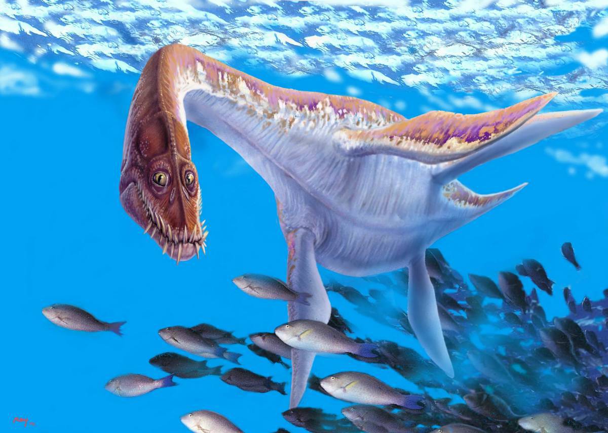 Морские динозавры #34