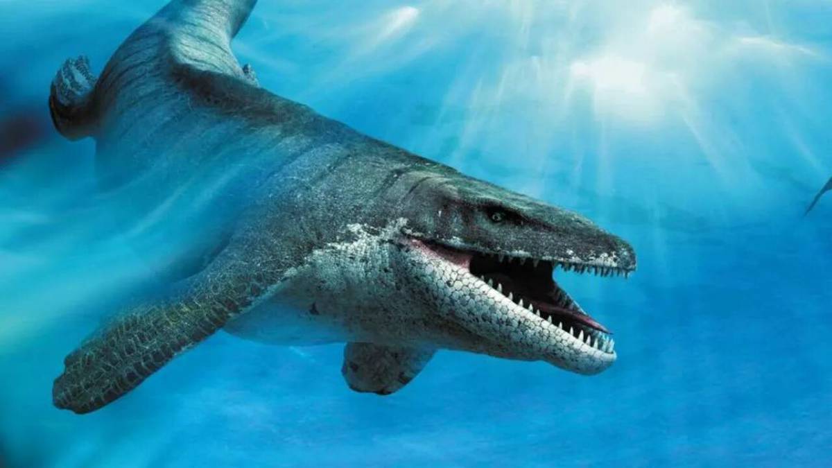 Морские динозавры #36
