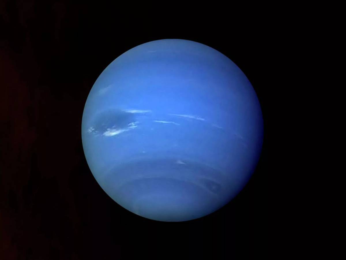 Нептун #23