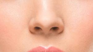 Раскраска нос для детей #18 #423152