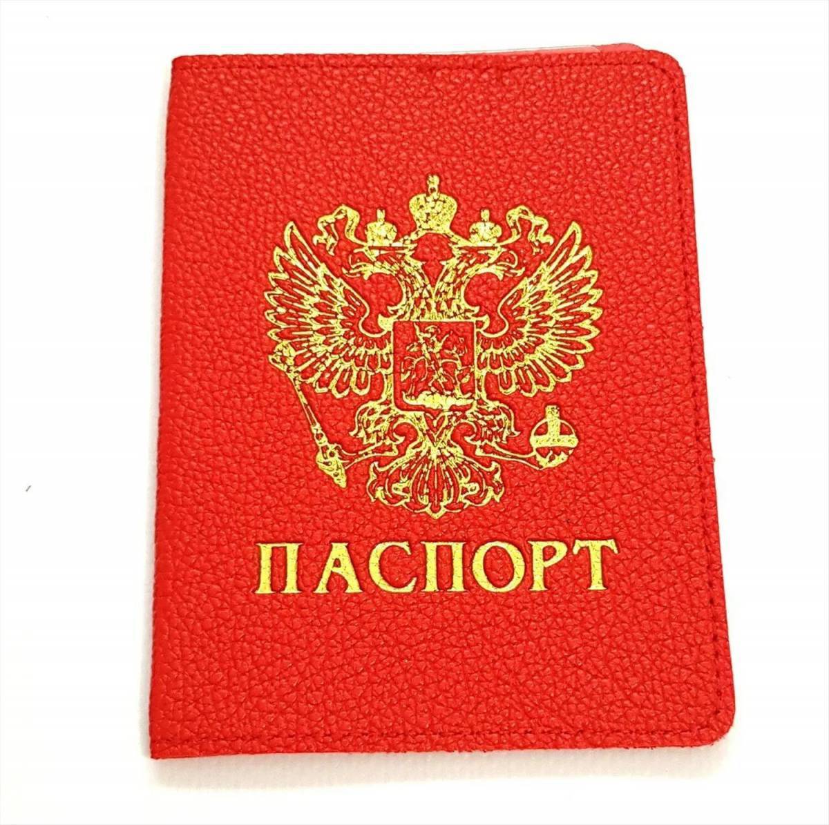 Паспорт для детей #33