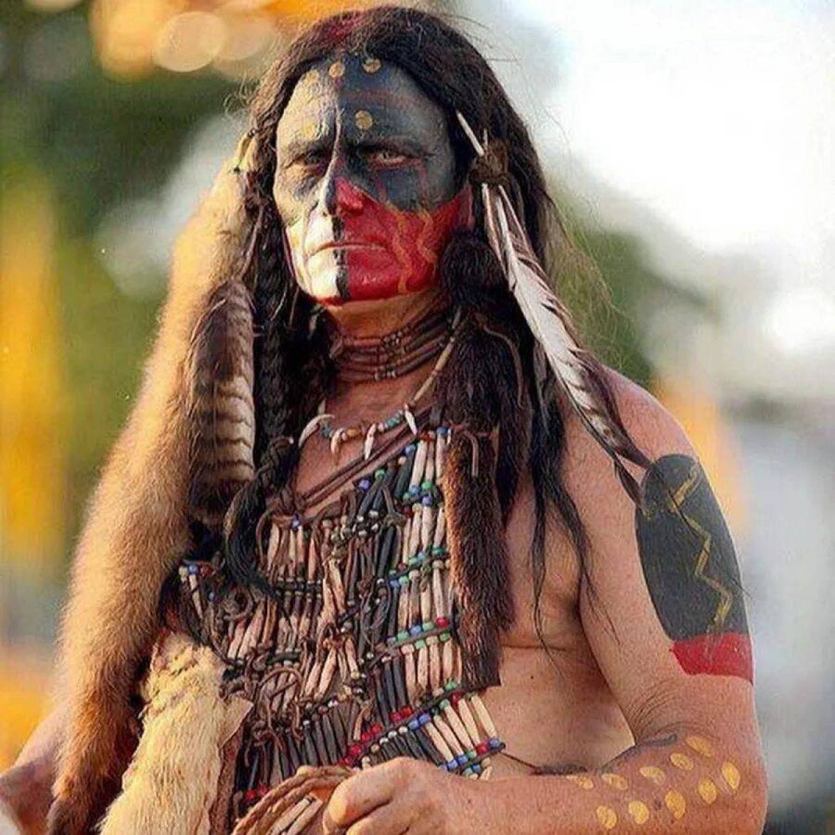 Боевая индейцев #17
