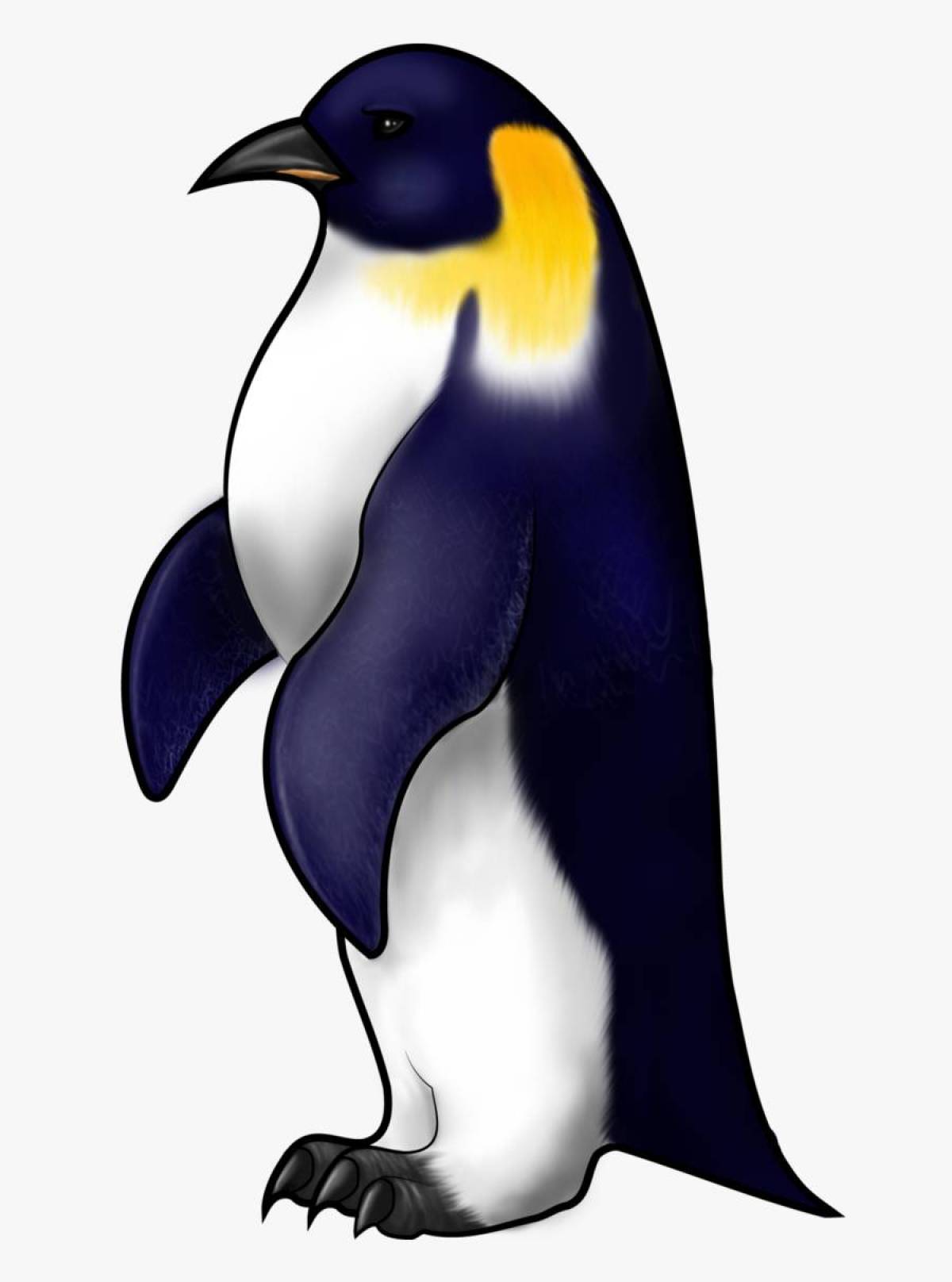 Пингвин рисунок для детей #28