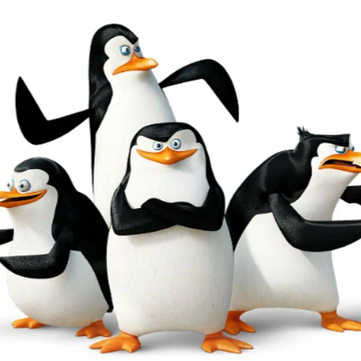 Пингвины из мадагаскара #8