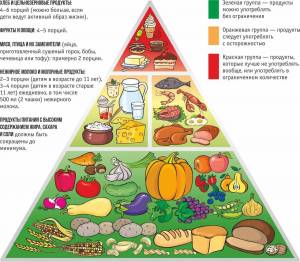 Раскраска пирамида питания #31 #440388