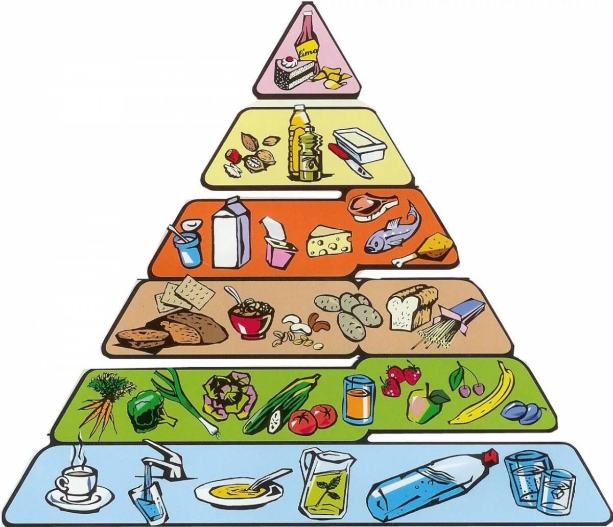 Пирамида питания #2