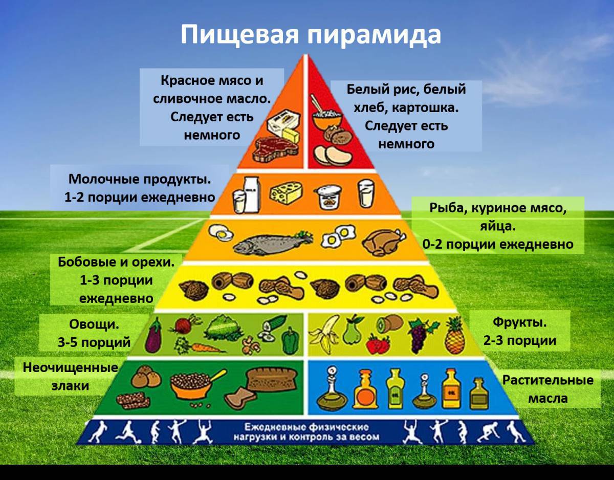 Пирамида питания #5