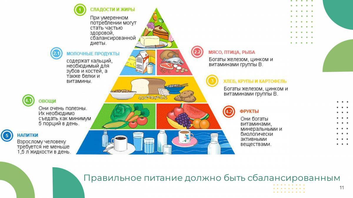 Пирамида питания #14