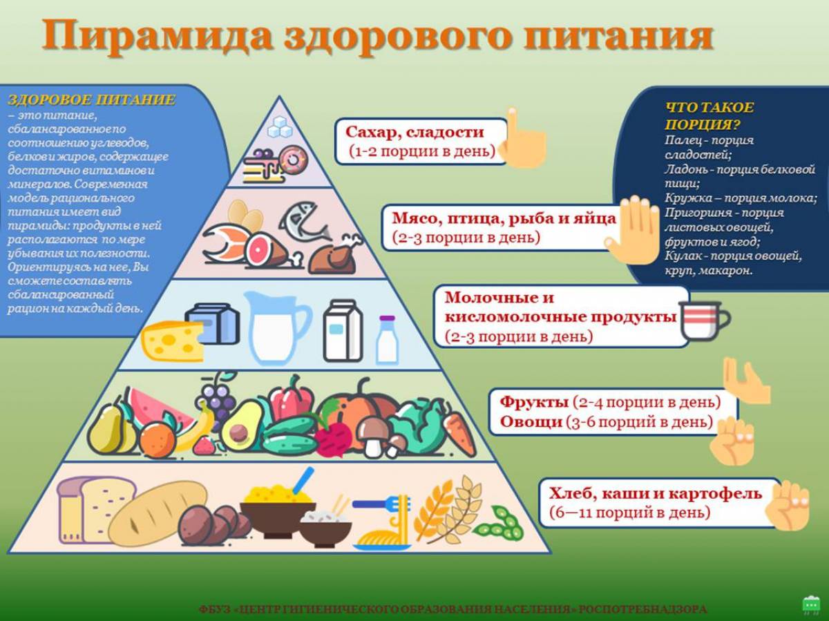 Пирамида питания #15