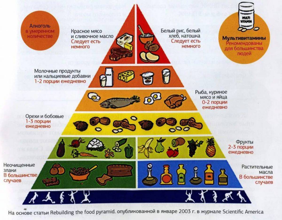Пирамида питания #18