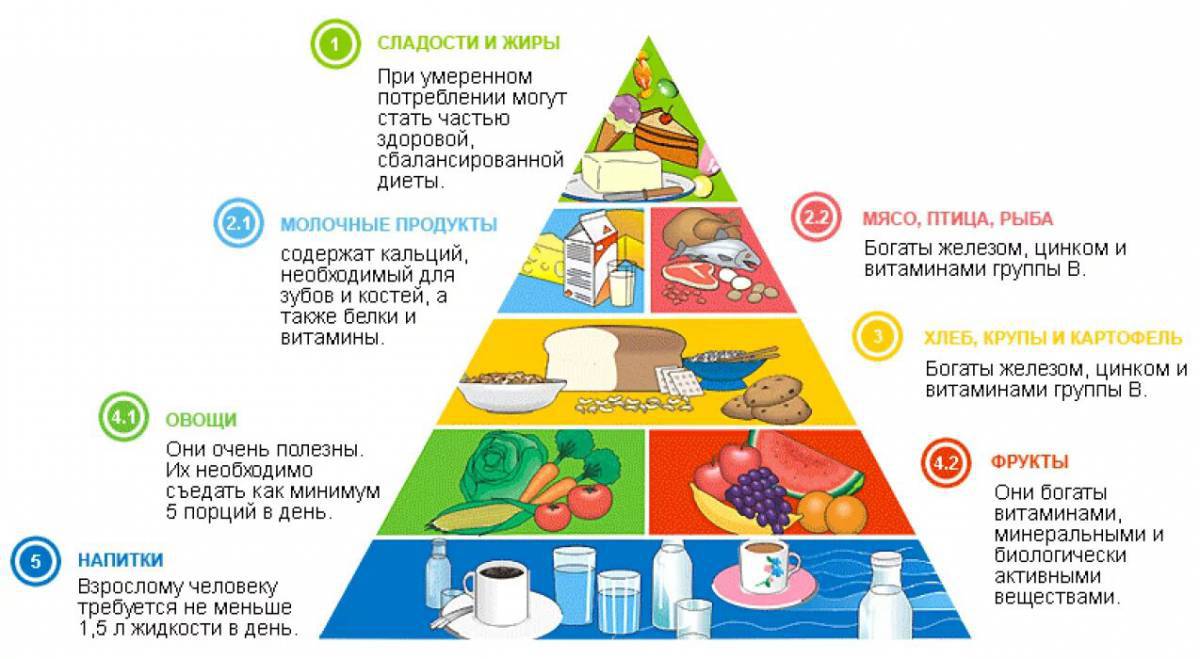 Пирамида питания #21