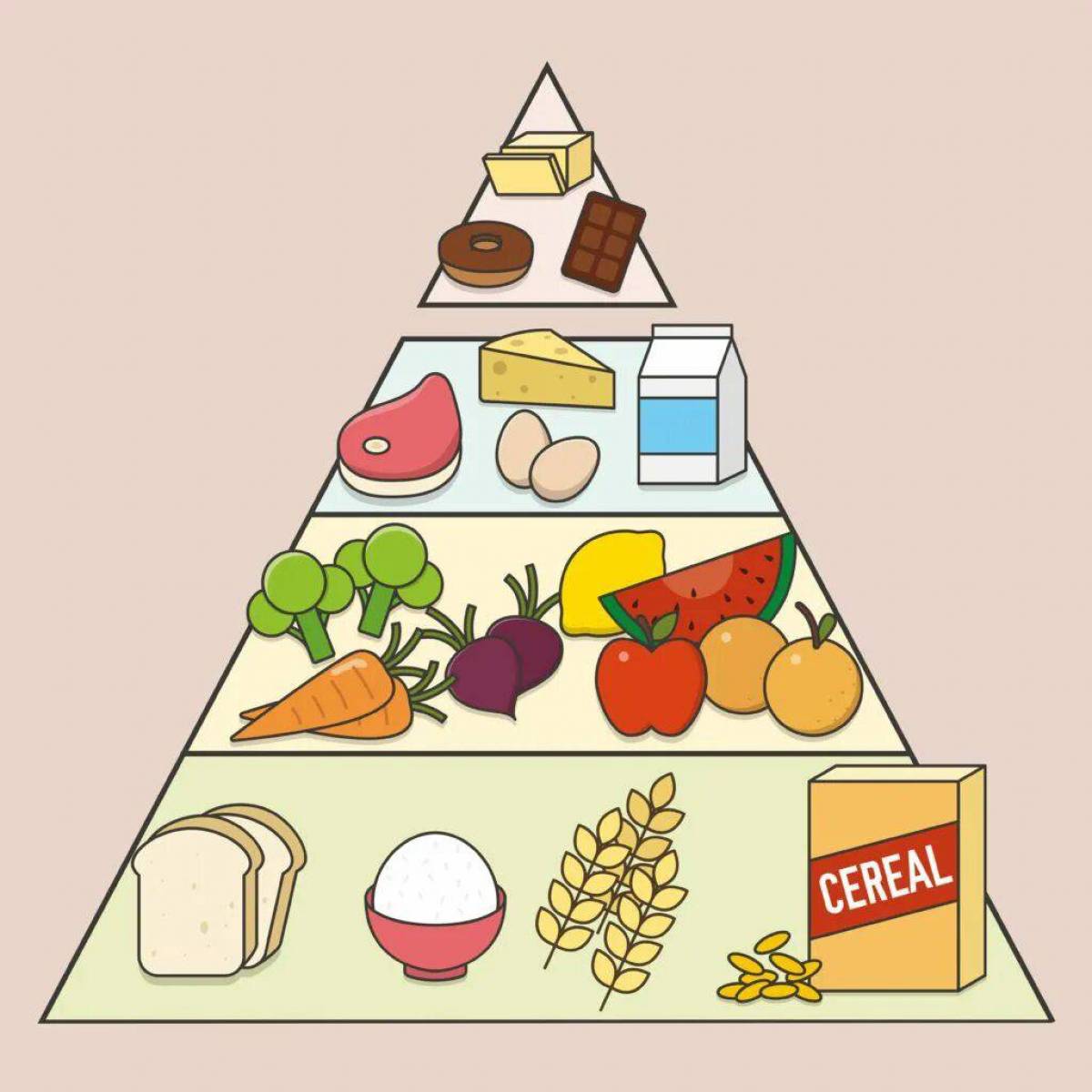 Пирамида питания #22