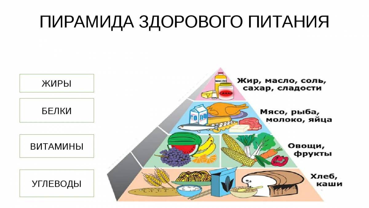 Пирамида питания #24