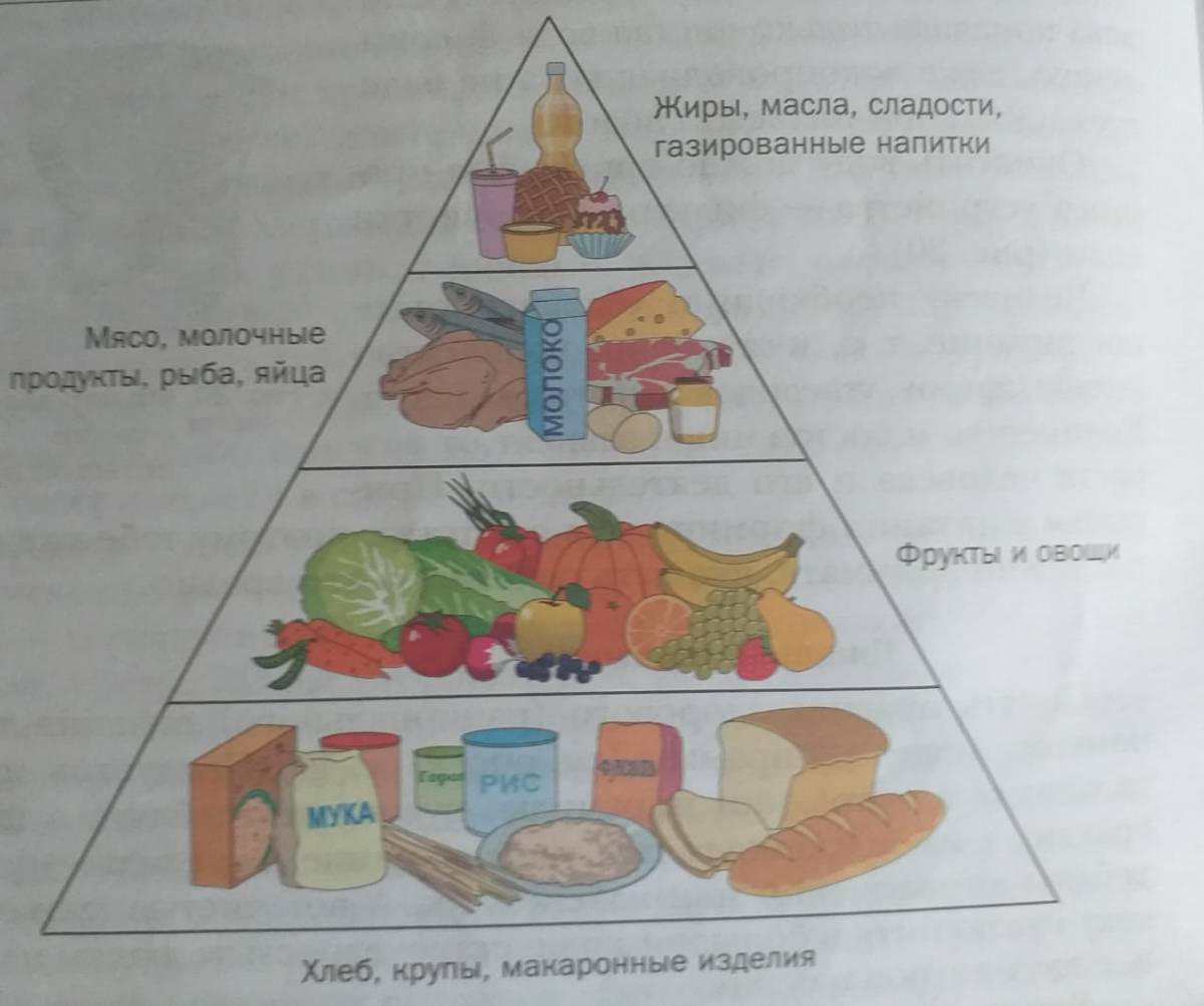 Пирамида питания #26