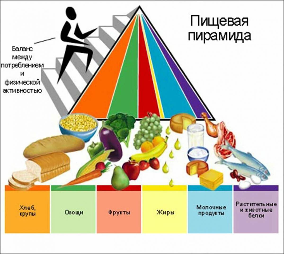 Пирамида питания #29