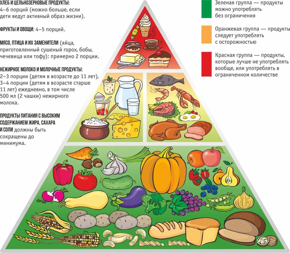 Пирамида питания #31