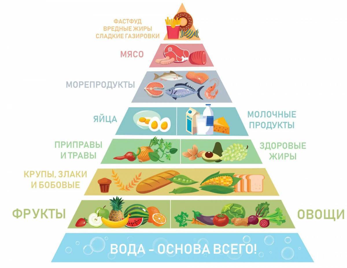 Пирамида питания #36