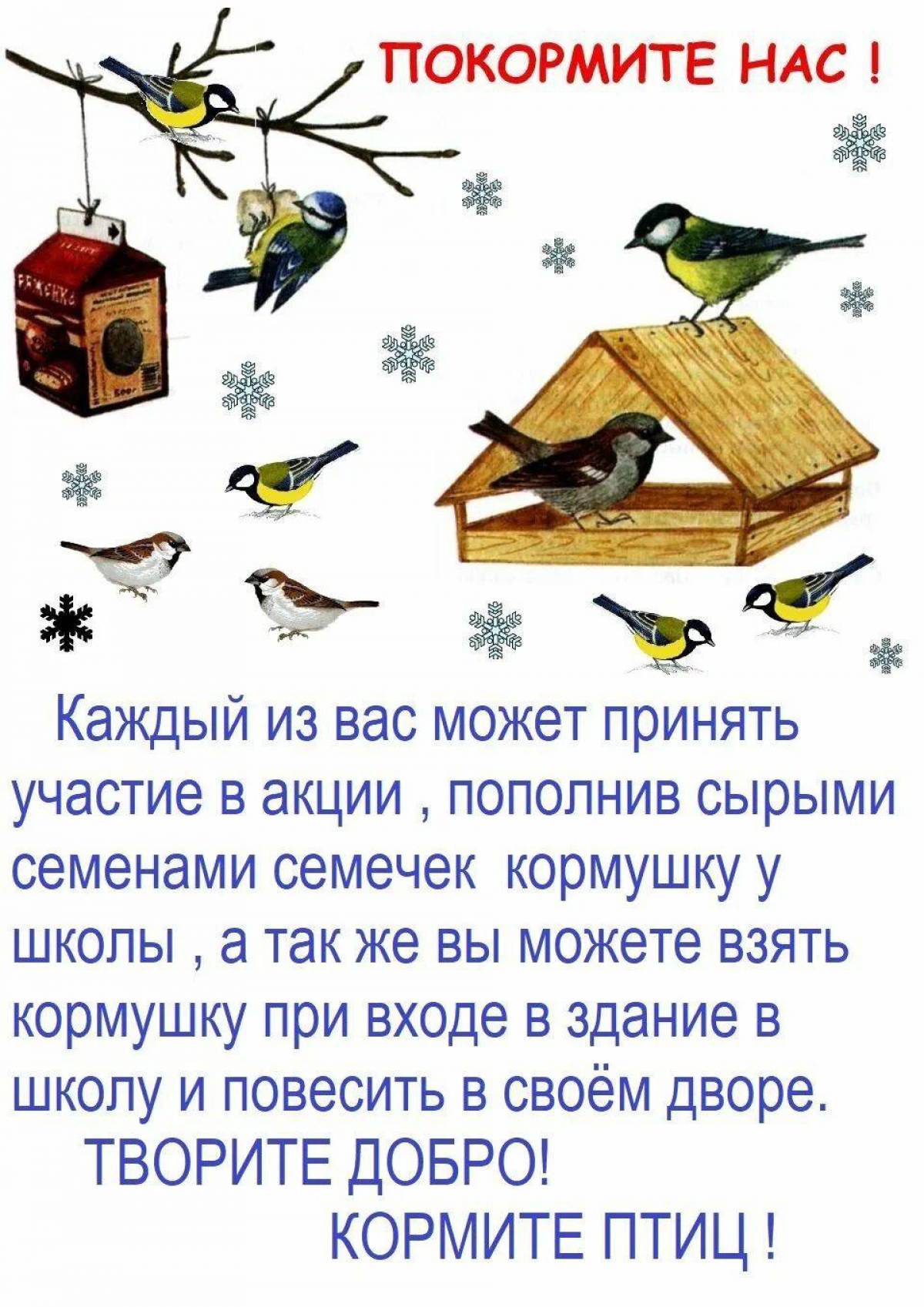 Покормите птиц зимой для детей #17