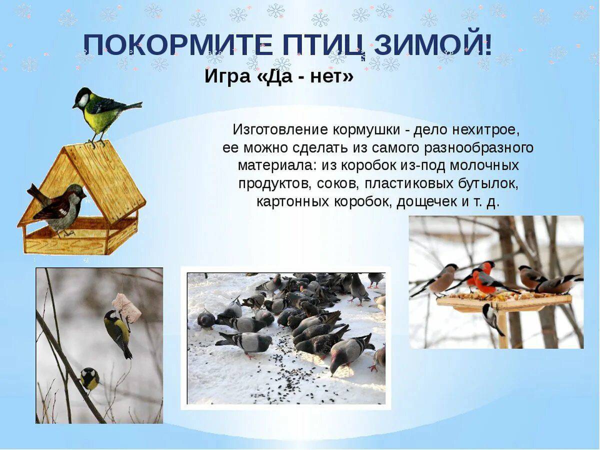 Покормите птиц зимой для детей #18
