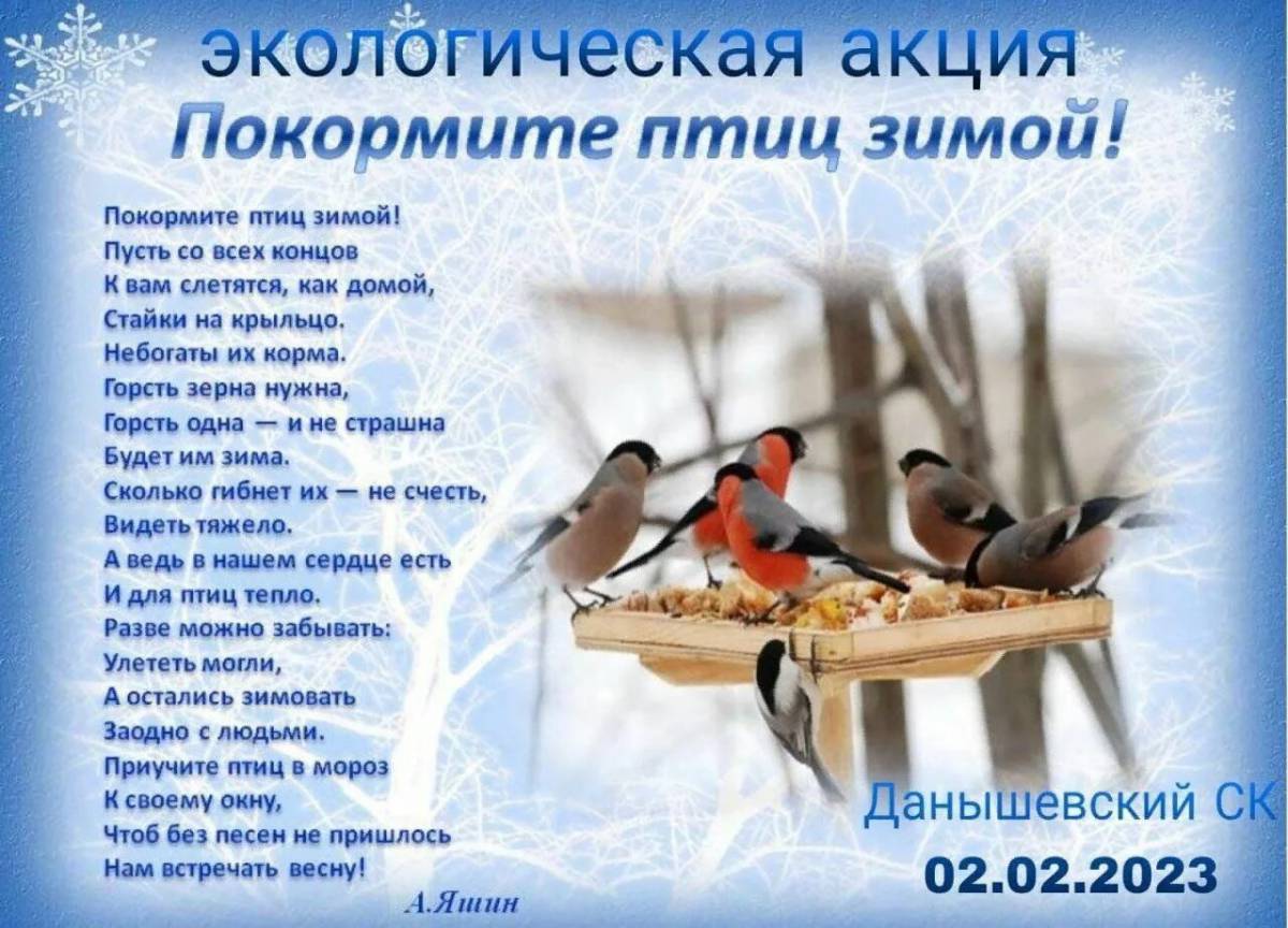Покормите птиц зимой для детей #23