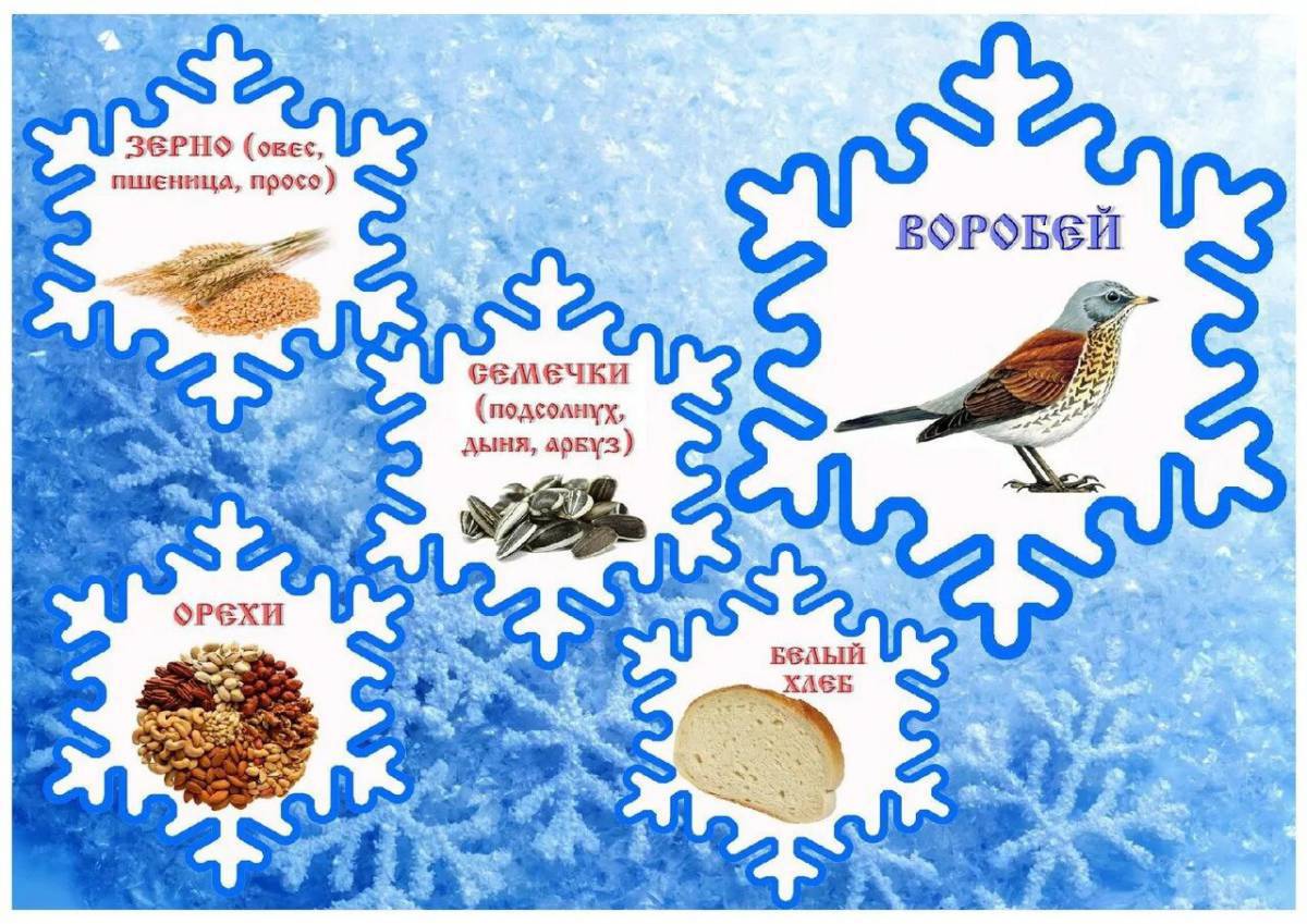 Покормите птиц зимой для детей #28