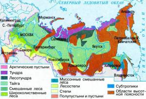 Раскраска природные зоны россии 4 класс окружающий мир #37 #461204