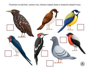 Раскраска птицы для детей 6 7 лет с названиями #35 #463921
