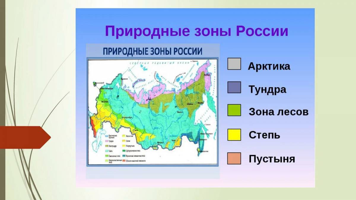 Природные зоны россии #3