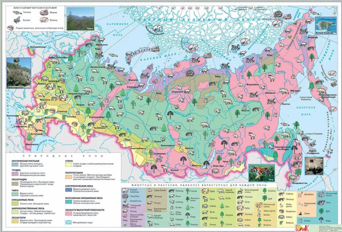 Природные зоны россии #27