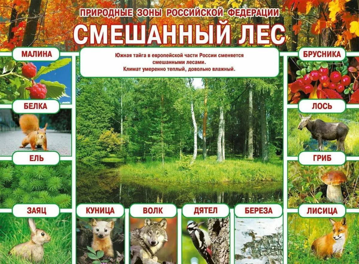 Природные зоны россии #30
