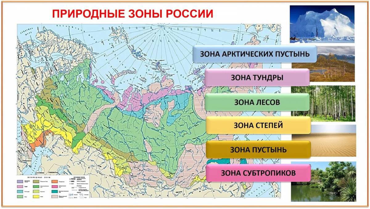 Природные зоны россии 4 класс окружающий мир #3