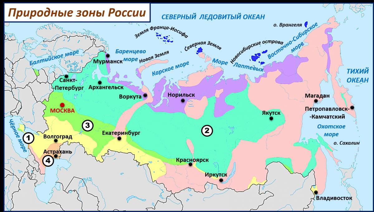 Природные зоны россии 4 класс окружающий мир #13