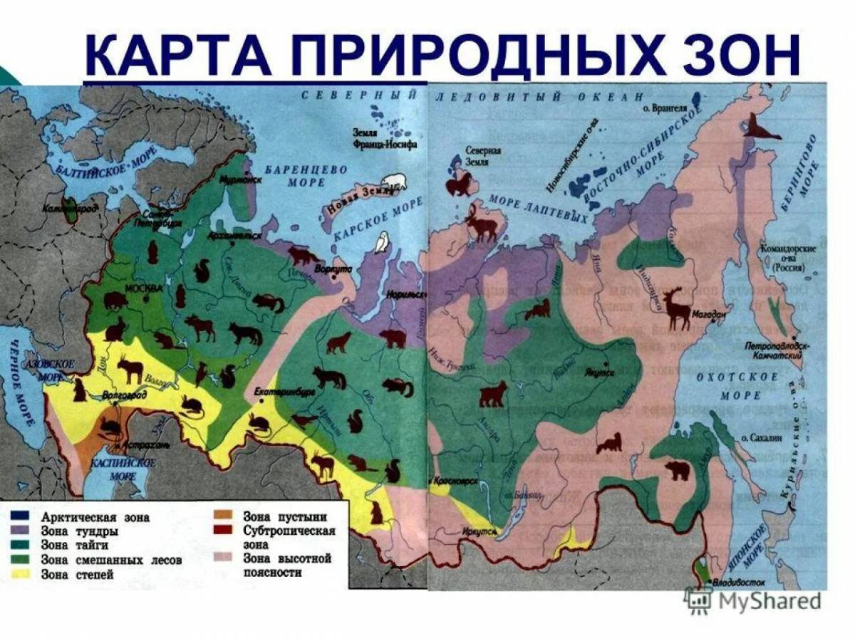 Природные зоны россии 4 класс окружающий мир #17