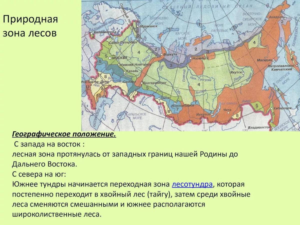 Природные зоны россии 4 класс окружающий мир #24