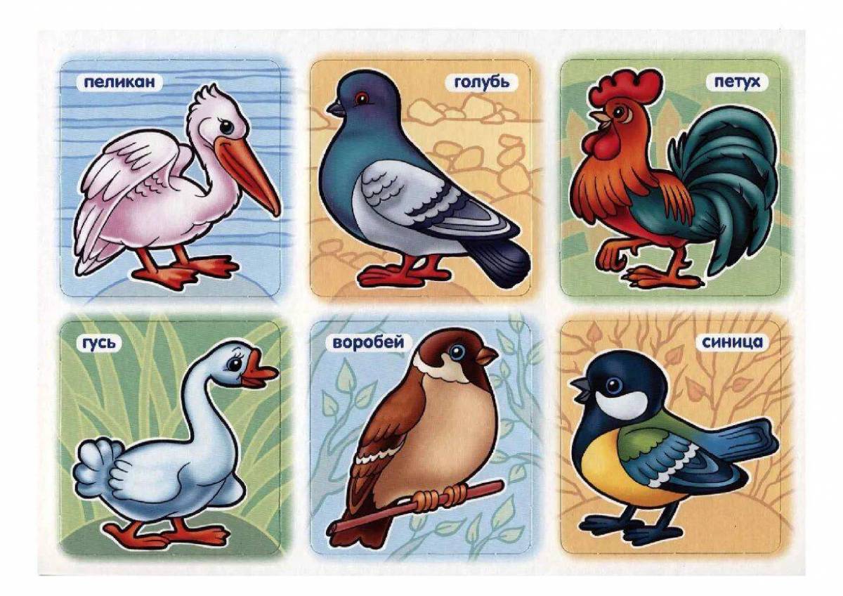 Птицы для детей 6 7 лет с названиями #9