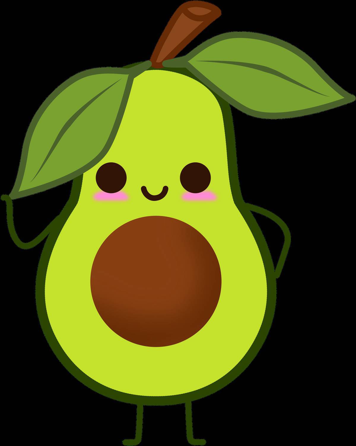 Рисунок авокадо #9