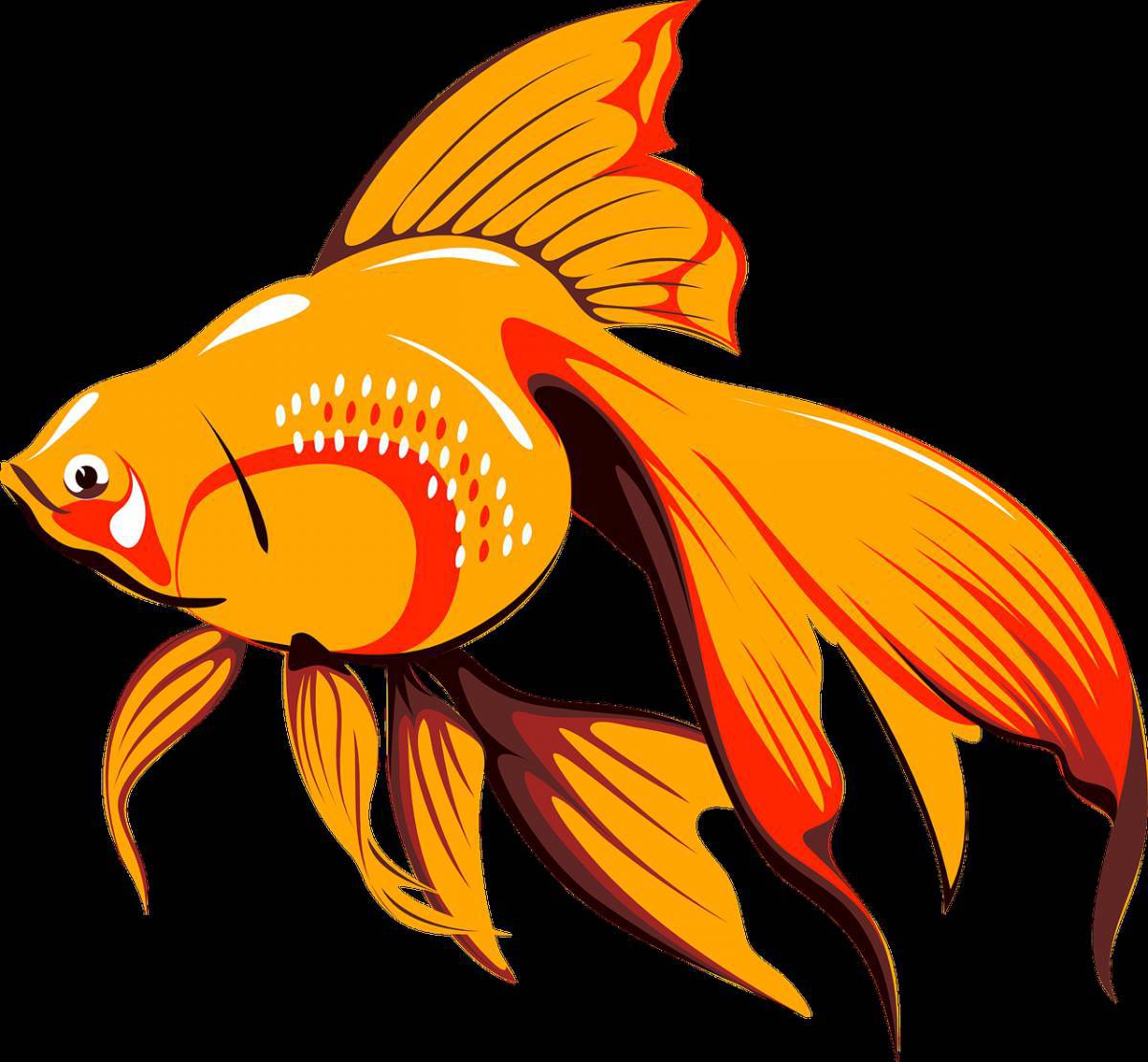 Рисунок золотая рыбка #5