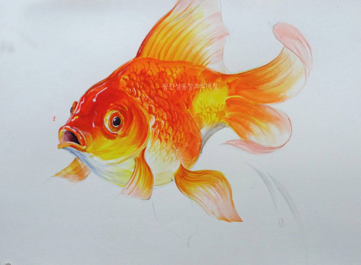 Рисунок золотая рыбка #8