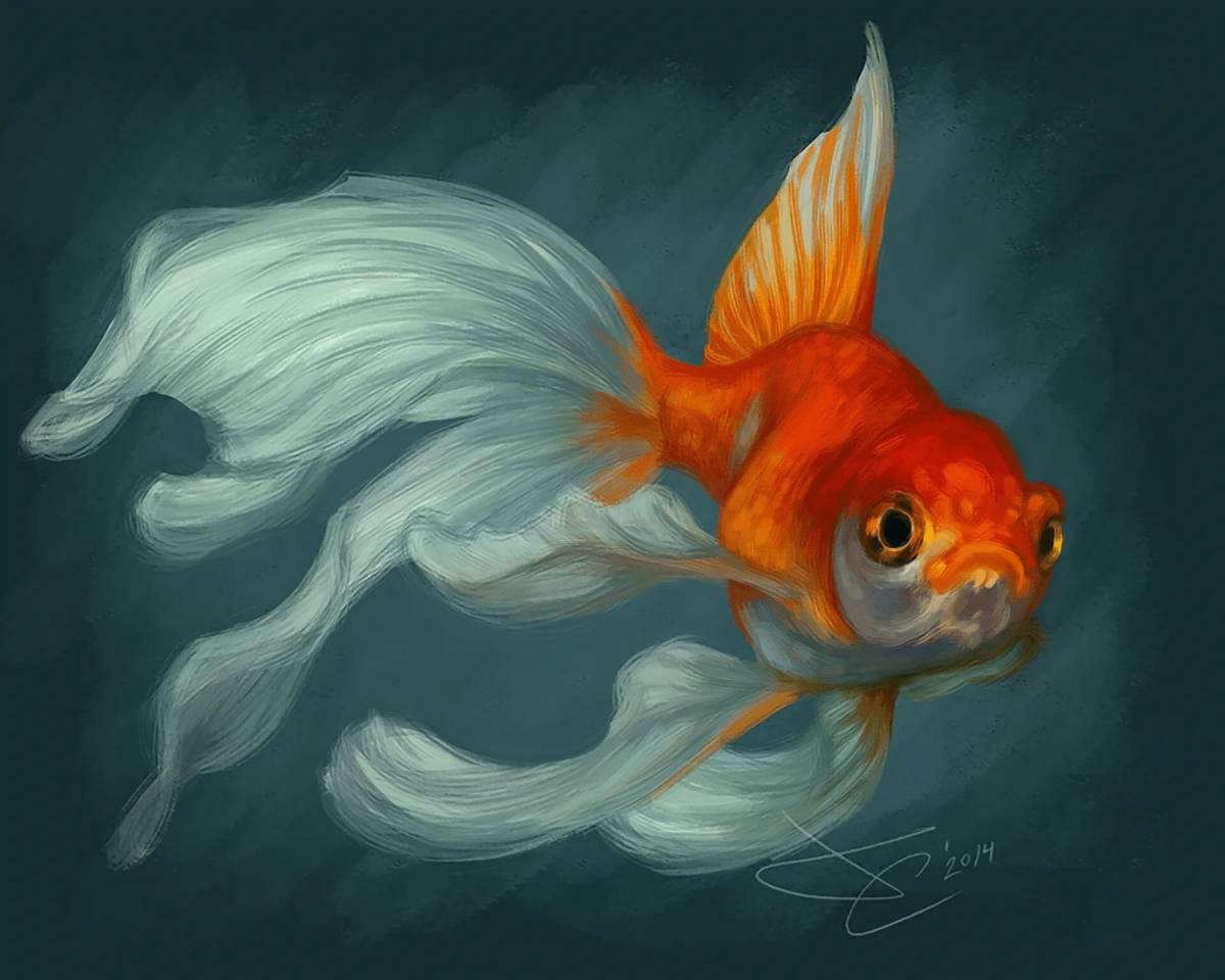 Рисунок золотая рыбка #31