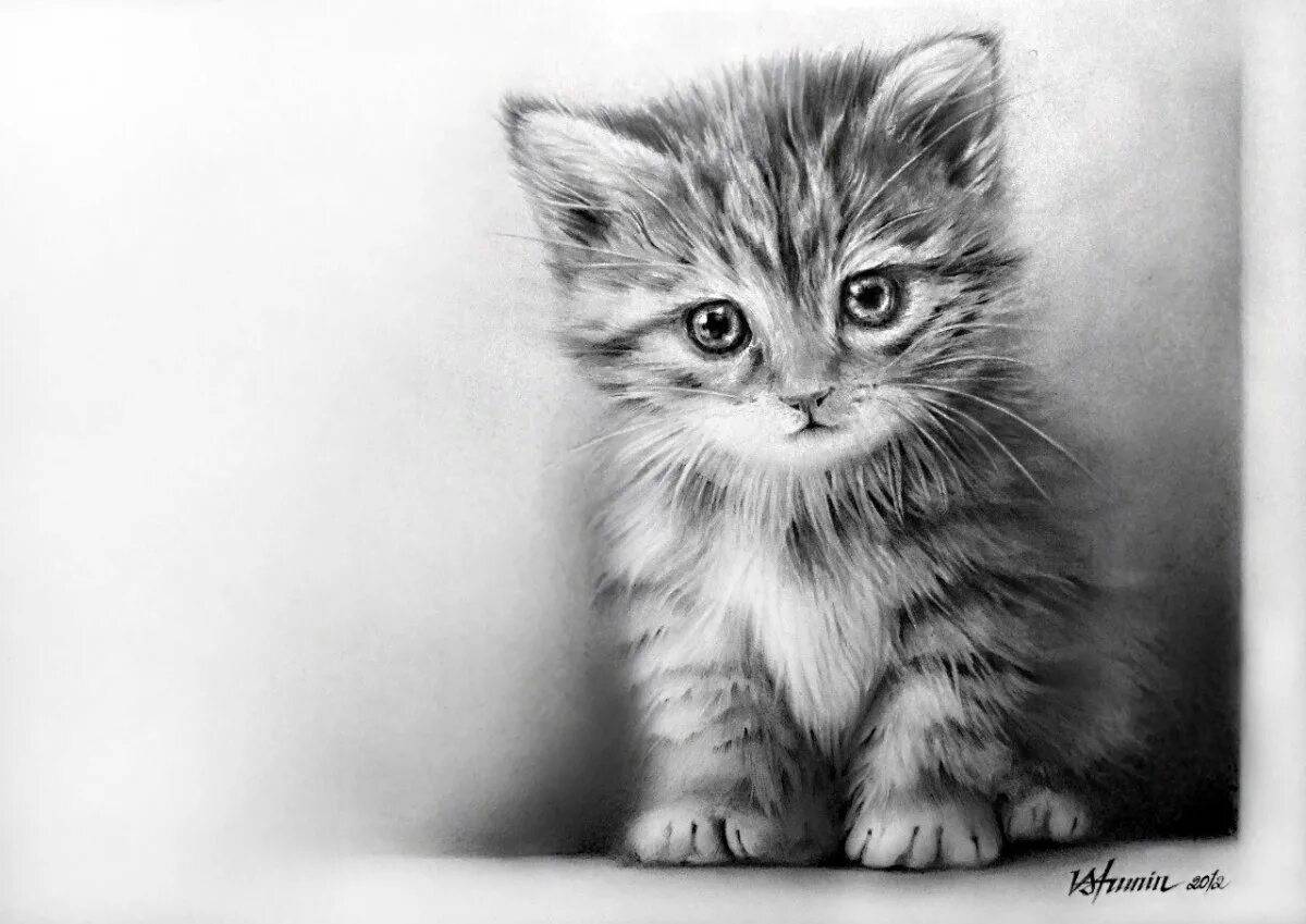 Рисунок котенок #6