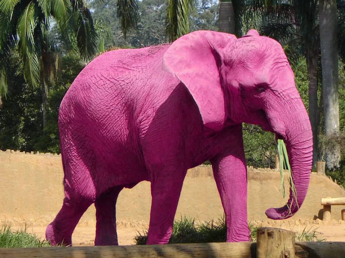 Розовый слон #32