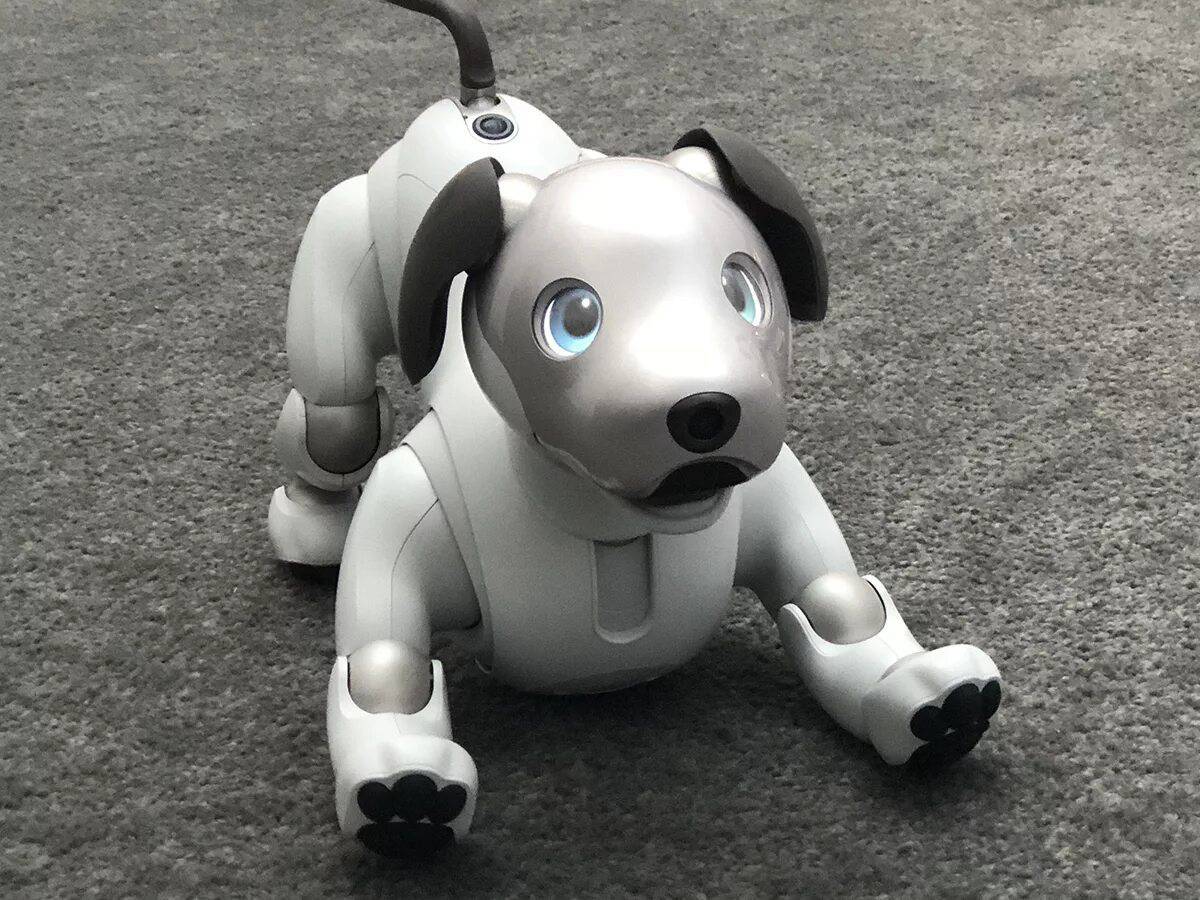 Собака робот #25