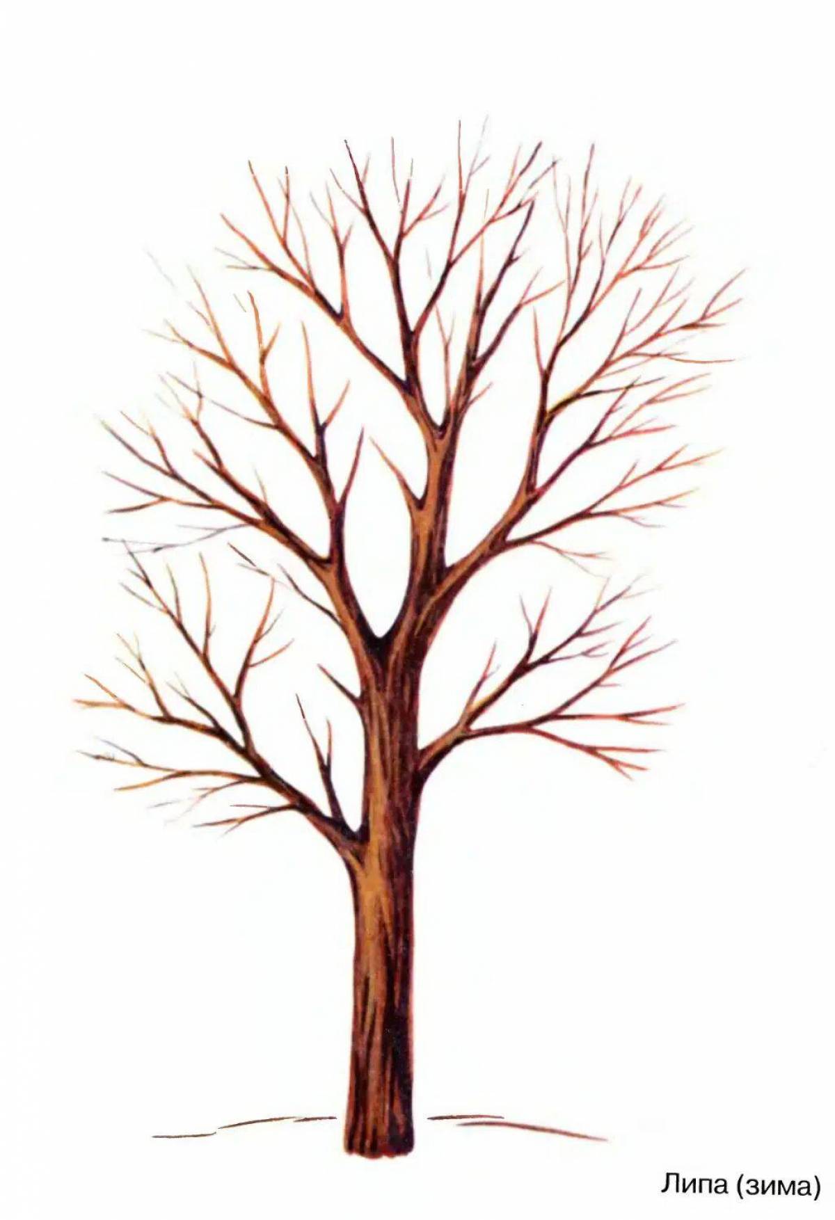 Ствол дерева для детей без листьев #35