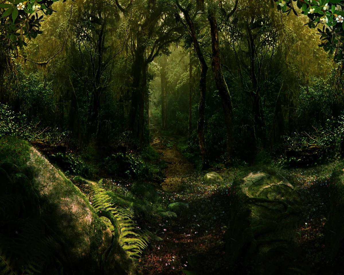 Таинственный лес #36