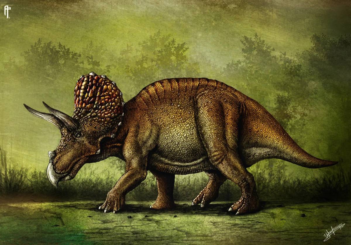 Трицератопс динозавр #7