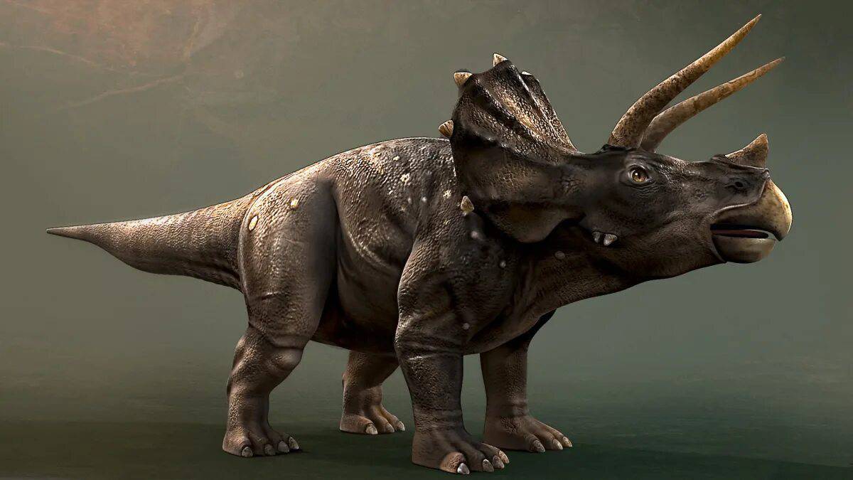 Трицератопс динозавр #19
