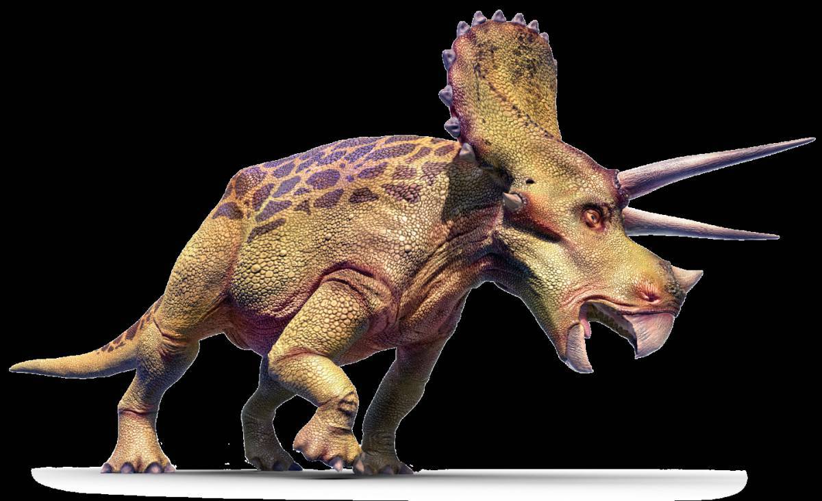 Трицератопс динозавр #25