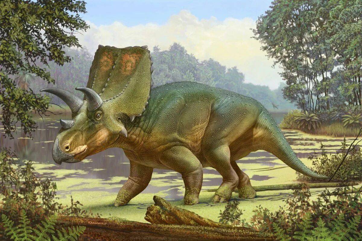 Трицератопс динозавр #38